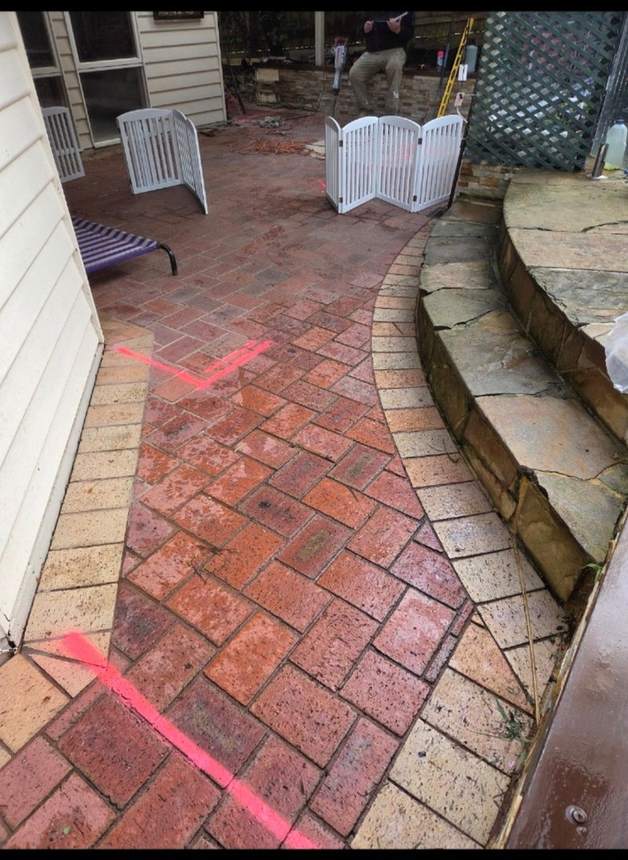 Before — old backyard